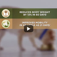 Metabolic + Mobility Video