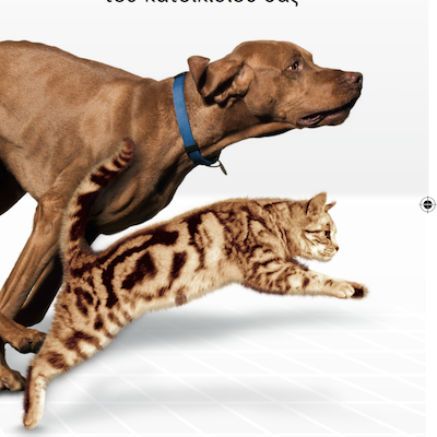 Mobility Φυλλάδιο για τον Ιδιοκτήτη