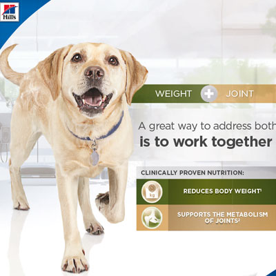 Πληροφοριακό υλικό για τη Metabolic Plus Mobility