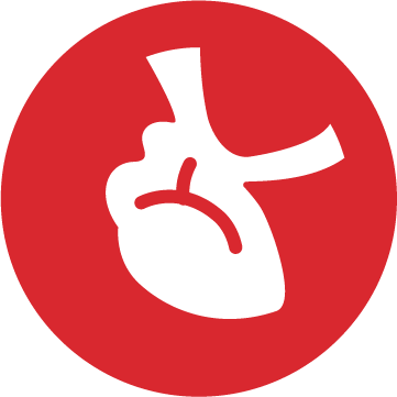Heart Icon