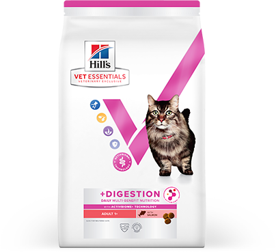 Hill’s Vet Essentials Dental Health Cat Food